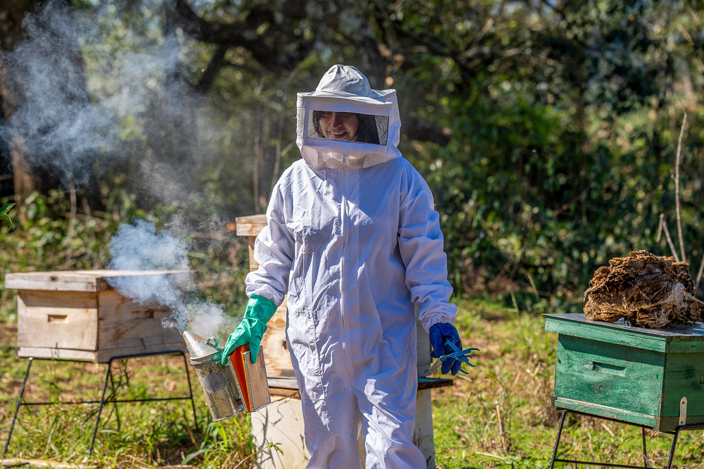 Las mujeres emprendedoras de Colonia Alegría, en Argentina, están avanzando en el desarrollo de sus iniciativas productivas, como la apicultura, los gallineros y los viveros forestales, que integran prácticas sostenibles en sus bosques nativos.